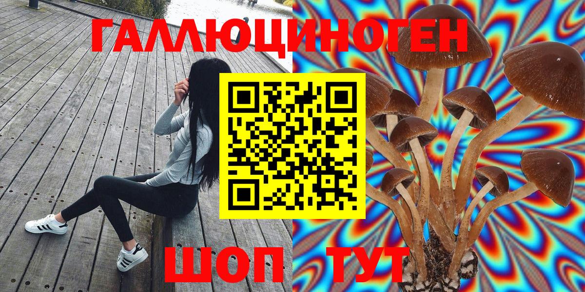 Псилоцибиновые грибы MAGIC MUSHROOMS Сердобск